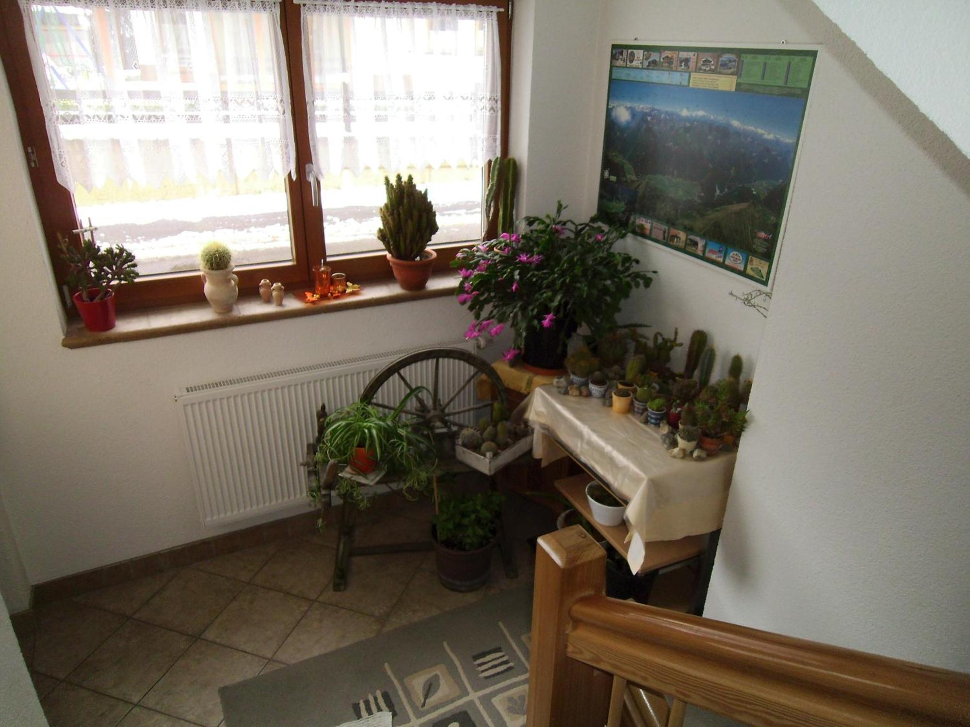 Apartament Haus Weidmannsheil Längenfeld Zewnętrze zdjęcie